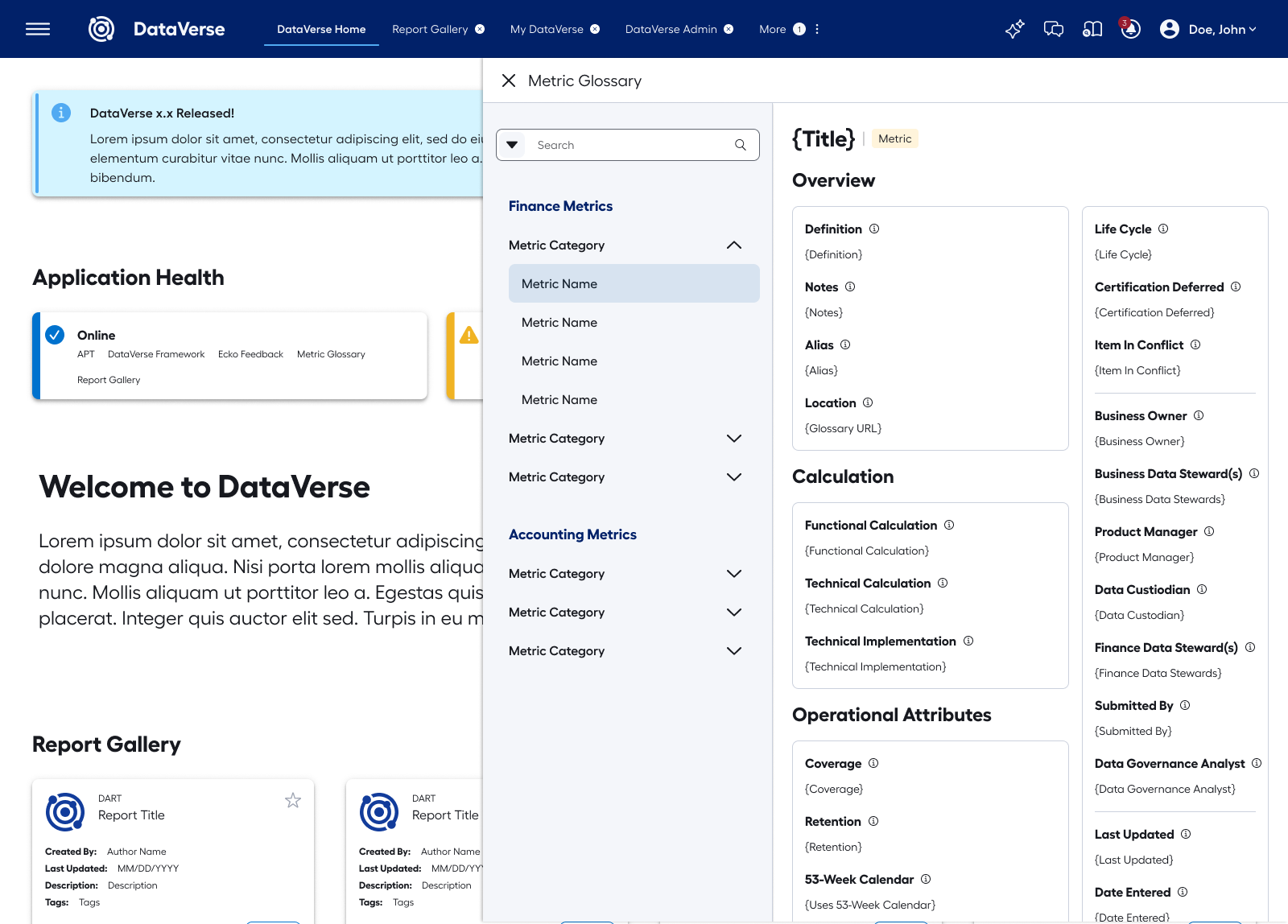 DataVerse metric glossary reference for standardized language and definitions
